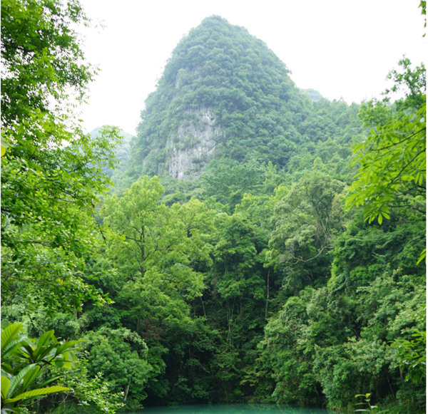 賞華夏大地，游多彩貴州-－2021年廣東博皓快樂行-2