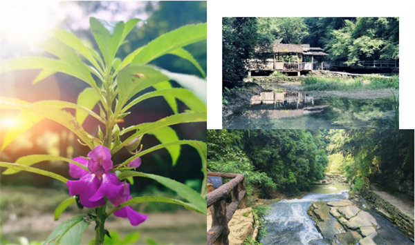 “湘”約鳳凰，相守未來——2022博皓快樂湖南行    -34